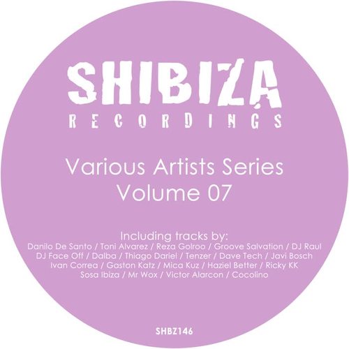 Various Artists Series 07