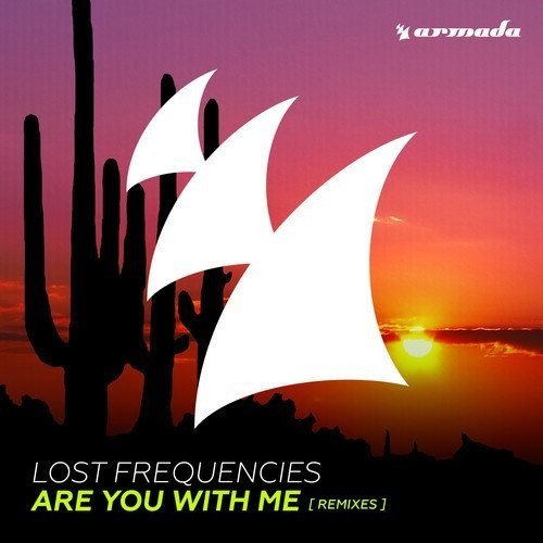 Are You With Me (Remix)