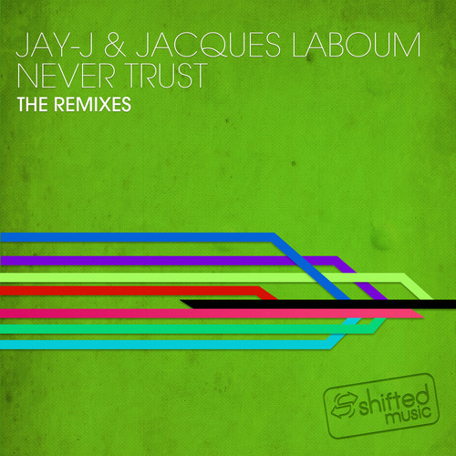 Never Trust The Remixes