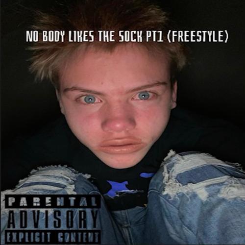 NOBODY LIKES THE SOCK ( FREESTYLE ) [Explicit]