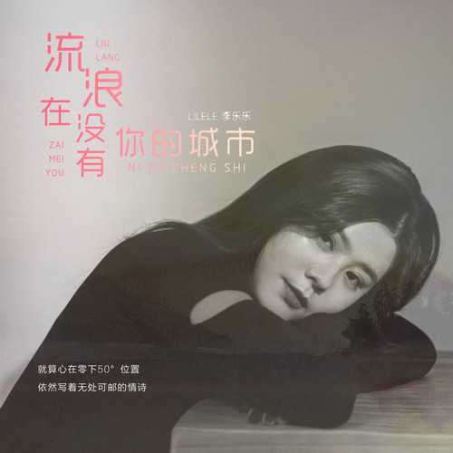 流浪在没有你的城市
