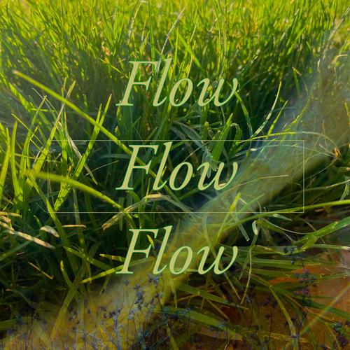 FLow Flow FLow