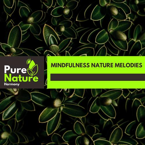 Mindfulness Nature Melodies