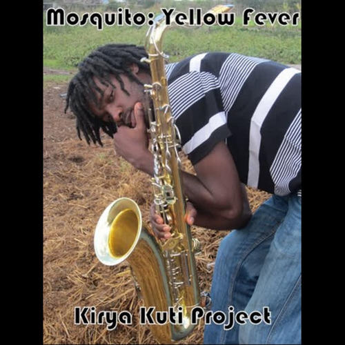 Mosquito: Yellow Fever