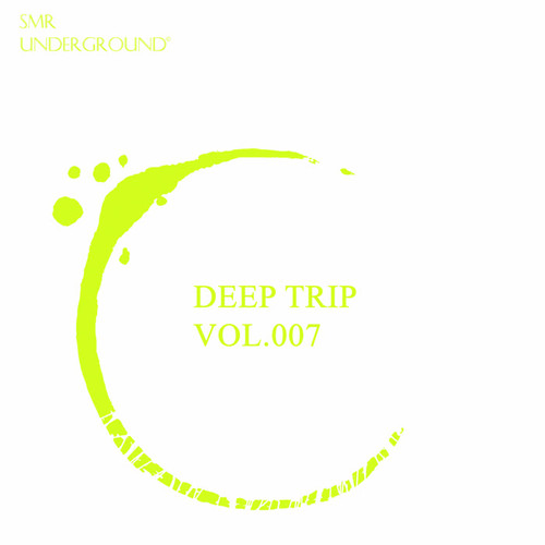 Deep Trip Vol.VII