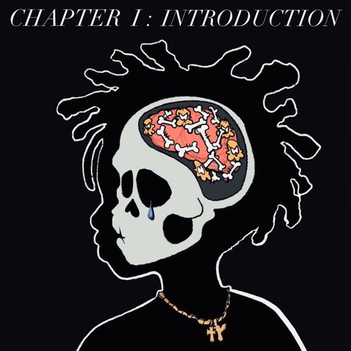 CHAPTER 1 : Introduction EP (Explicit)