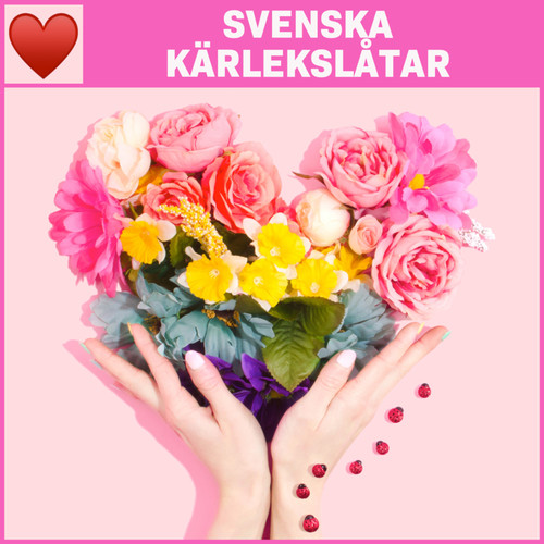 SVENSKA KÄRLEKSLÅTAR (Explicit)