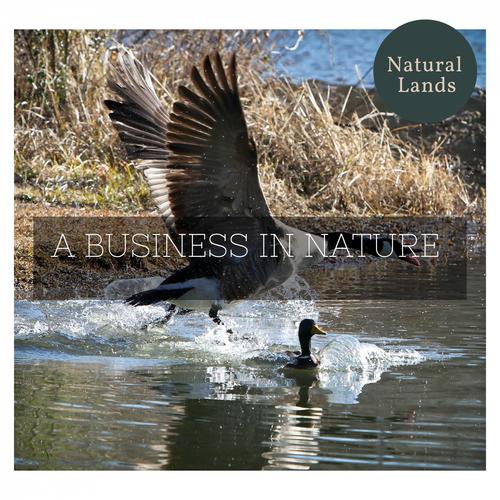 A Business in Nature