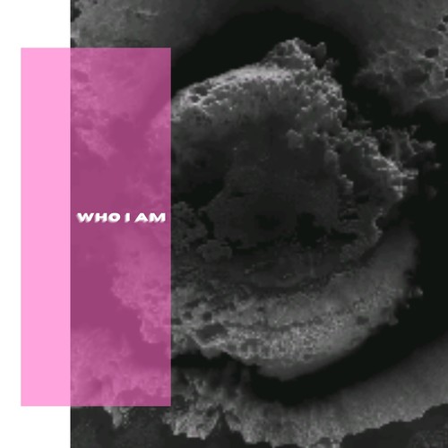 Who I Am