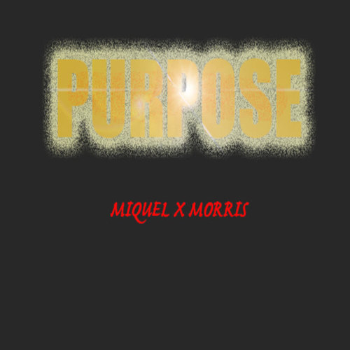 Purpose