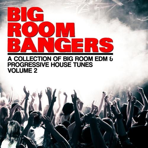 Big Room Bangers, Vol. 2 (A Collection of Big Room EDM & Progressive House Tunes)