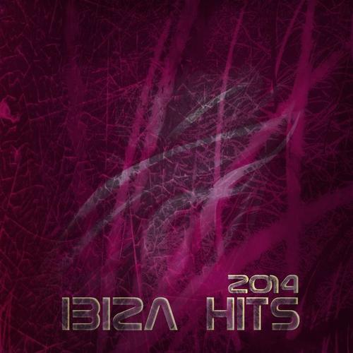 Ibiza Hits 2014 (50 Essential House Electro Minimal for DJs)