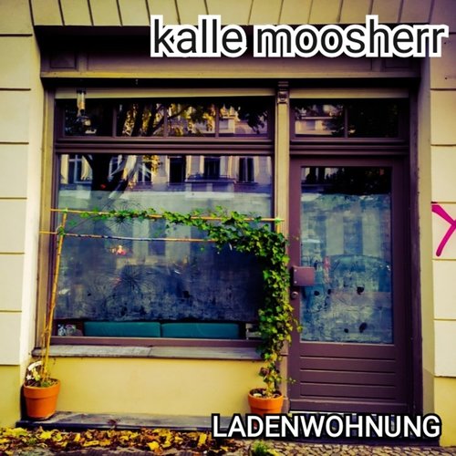 Ladenwohnung