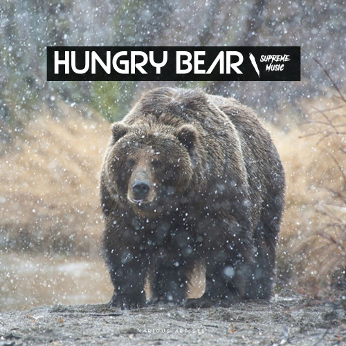 Hungry Bear