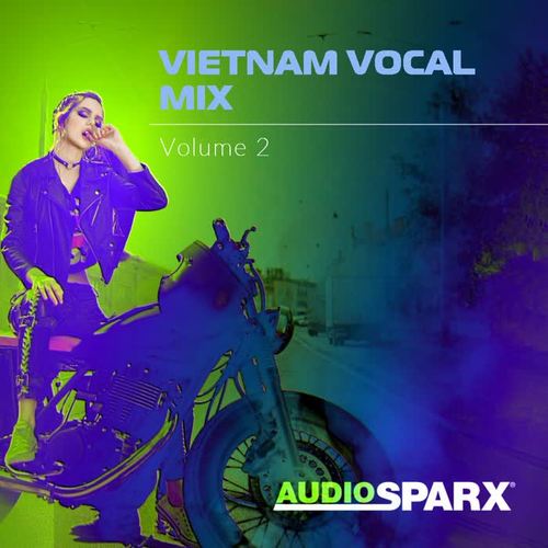 Vietnam Vocal Mix Volume 2