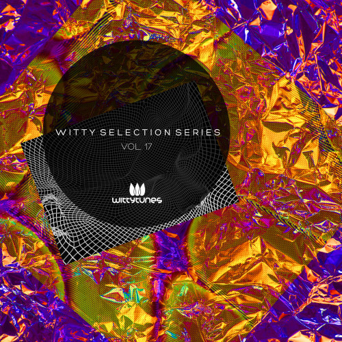 Witty Selection Series, Vol. 17