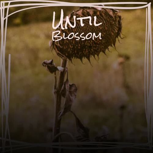 Until Blossom