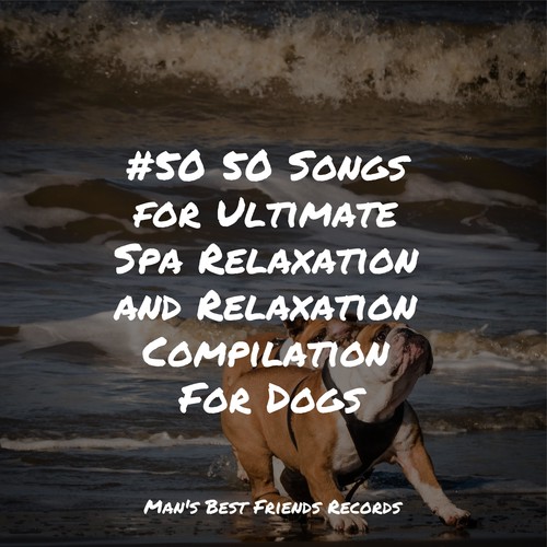 #50 50 Songs for Ultimate Spa Relaxation and Relaxation Compilation For Dogs