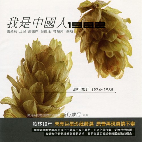 流行岁月系列 歌林10年 我是中国人1982