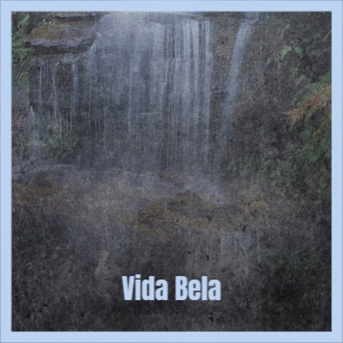 Vida Bela