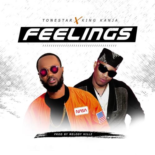 Feelings (feat. King Kanja)