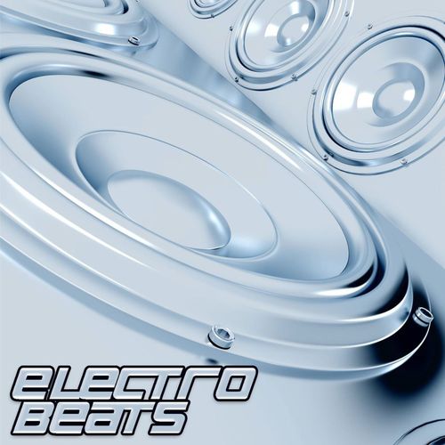 Electro Beats (Electro House & Techouse Selection)