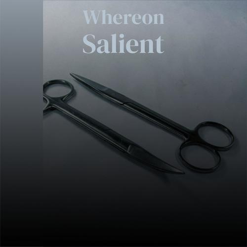Whereon Salient