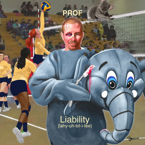 Liability (Explicit)