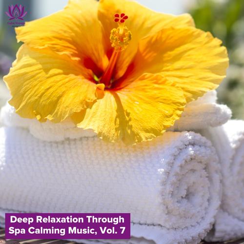 Deep Relaxation Through Spa Calming Music, Vol. 7