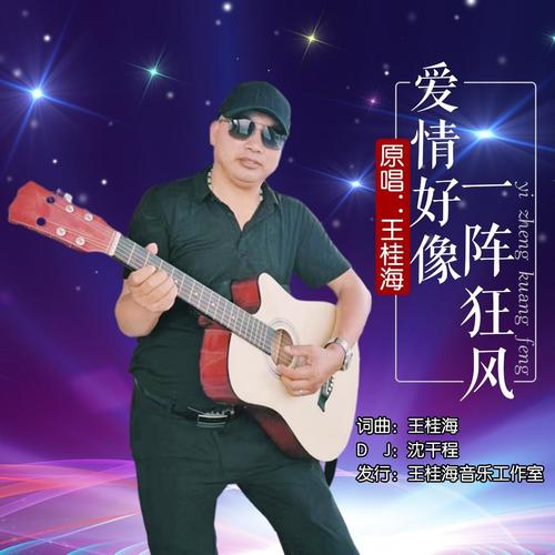 爱情好像一阵狂风（DJ版）