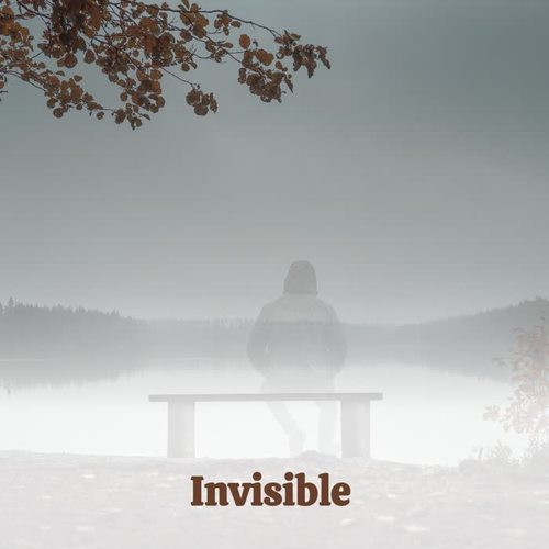 Invisible