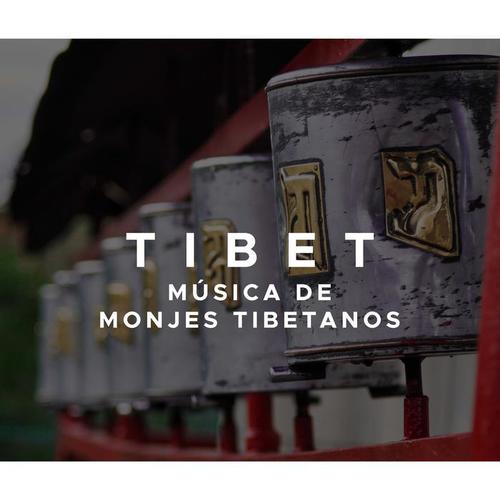 Tibet: Musica de Monjes Tibetanos para Mantras Tibetanos con Cuencos Tibetanos y Musica Relajante