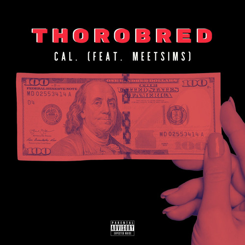 Thorobred (feat. MeetSims) - Single [Explicit]