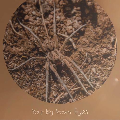 Your Big Brown Eyes