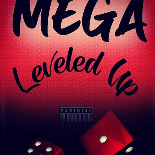 LEVELED UP (Explicit)