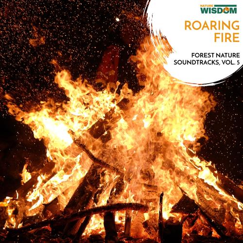 Roaring Fire - Forest Nature Soundtracks, Vol. 5