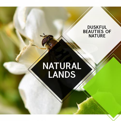 Natural Lands - Duskful Beauties of Nature