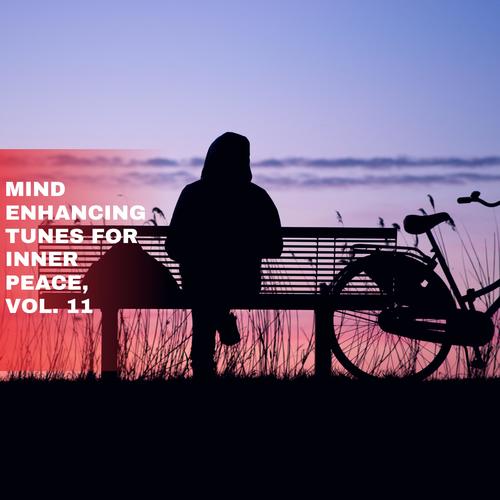 Mind Enhancing Tunes for Inner Peace, Vol. 11