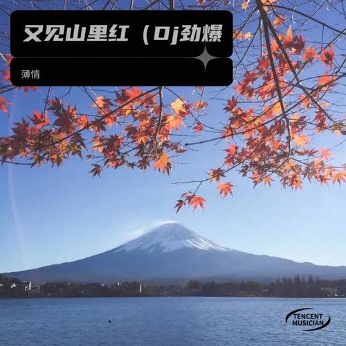 又见山里红Dj劲爆纯音乐