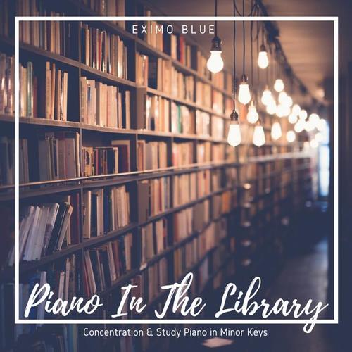 Piano in the Library - Concentration & Study Piano in Minor Keys