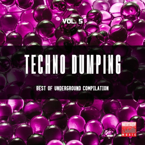 Techno Dumping, Vol. 5 (Best Of Underground Compilation)