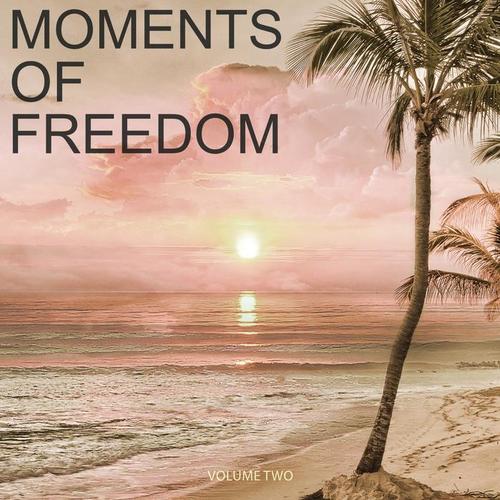 Moments Of Freedom, Vol. 2 (Selection Of Finest Chill Out & Ambient Music)