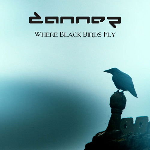 Where Black Birds Fly