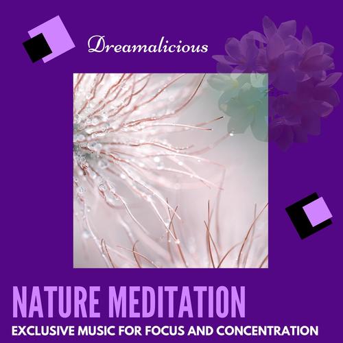 Nature Meditation - Exclusive Music For Focus And Concentration