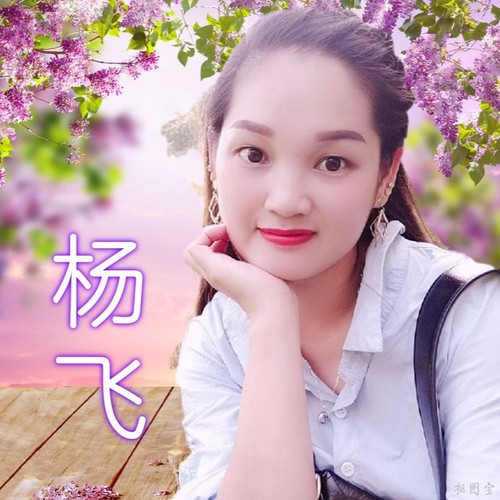 从此让爱随风去