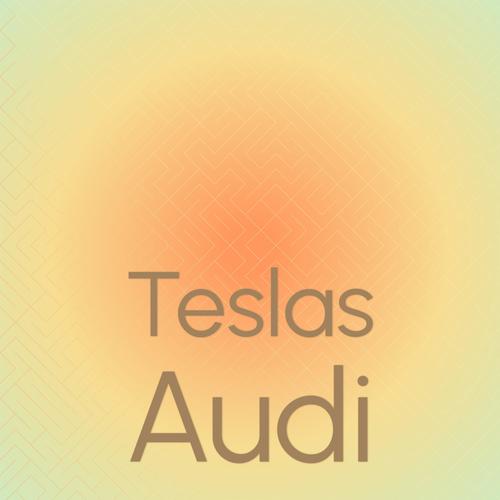 Teslas Audi