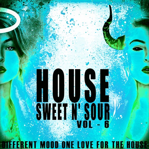 House Sweet N' Sour, Vol. 6