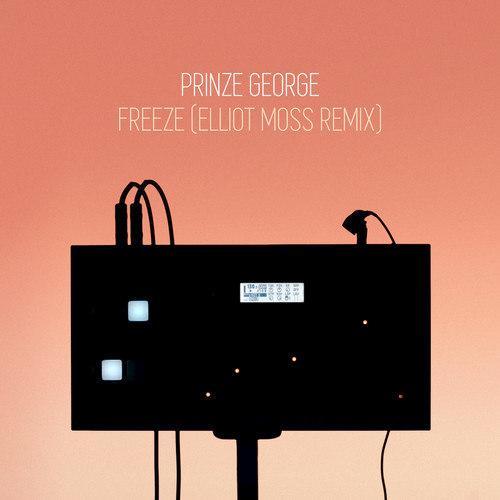 freeze(elliot moss remix)