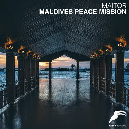 MALDIVES PEACE MISSION
