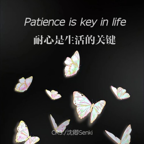 Patience is key in life (耐心是生活的关键)